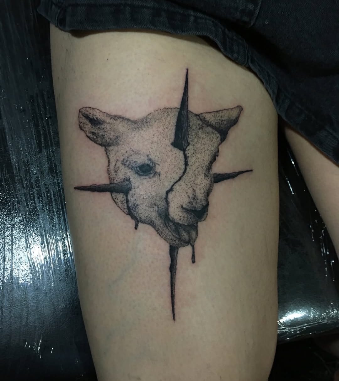 Diseño cordero